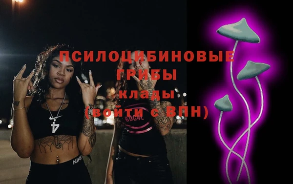 мет Аркадак