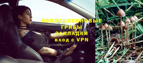 мет Аркадак